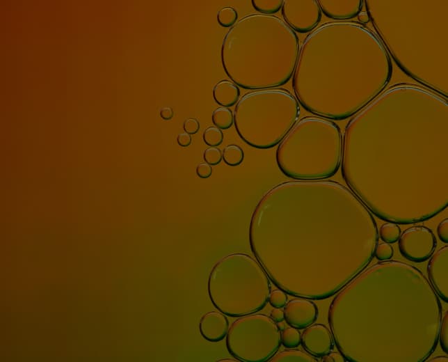 이그니스의 새로운 도전